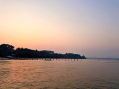 -东来菜馆•手抓海鲜家常菜•海鲜锅贴(鸽子窝店)