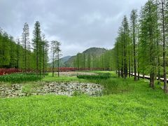 -广州市石门国家森林公园