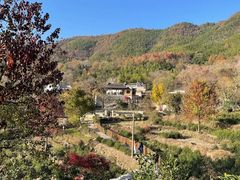 -塔川景区