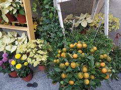 -格蕾花坊(民盈·国贸城店)