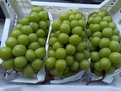 -和子足浴SPA会馆(梁溪店)