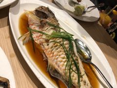 -Isla Sugbu Seafood City