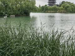-济南大明湖景区