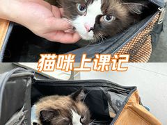 -帝京日语(春熙路旗舰校区)
