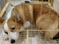 -LUNEURS月乐诗·法式冰淇淋(环贸店)