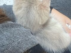 -瑞派康怡24h宠物医院·犬猫医疗中心·微创绝育(瑞景分院)