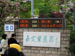 -嘉定紫藤园
