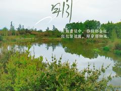 -桤木河湿地公园