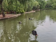 -洛阳市隋唐城遗址植物园