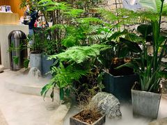 -茶理宜世(东方宝泰店)