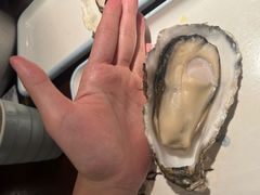 高压锅蒸乳山生蚝-乔街深夜食堂·台州菜·高压锅生蚝(杭州总店)