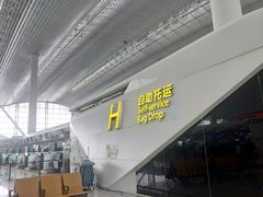 -广州白云国际机场-T2航站楼