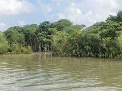 -东寨港红树林旅游区