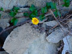 -风云岭森林公园