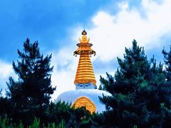 -护国法轮寺