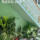 仿佛置身泰国街头的高颜值餐厅【嘎莉泰泰】