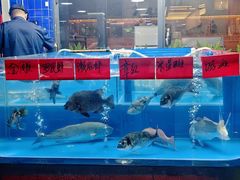 -明本湛江鸡•海鲜小厨(陈家祠店)