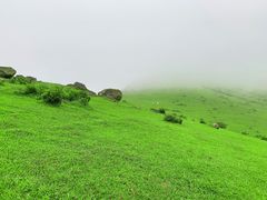 -大姆山草场
