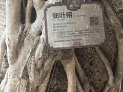 -叩齿古寺