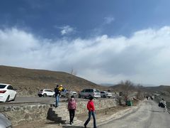 -新疆天山野生动物园