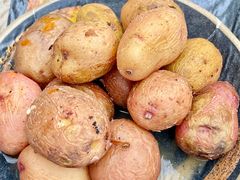 -呼吉牧蒙古烤肉·烧烤·小龙虾