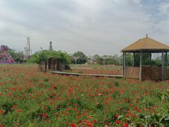 -祥源·阜阳生态乐园