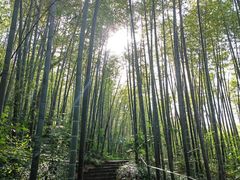 -南山风景名胜区