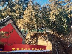 -潭柘寺景区
