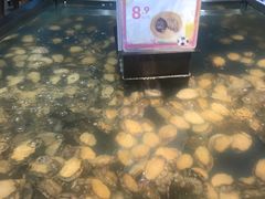 -盒马鲜生(莱蒙都会店)