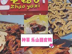 -赵鸭子甜皮鸭·非物质文化遗产(致江路分店)