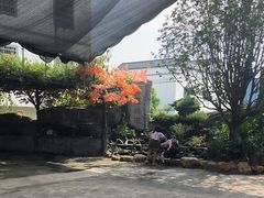 -华园农庄·特色炭烧鸡·北江河鲜