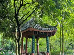 -龙头寺公园
