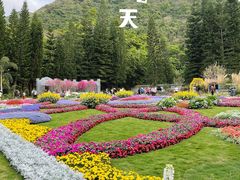 -深圳仙湖植物园