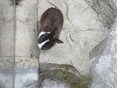 -黔灵山公园