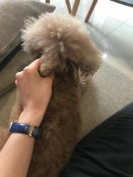 -Hands Nail专业美甲美睫