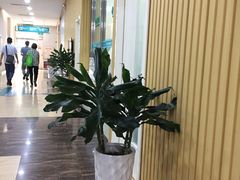-广州仁爱天河医院体检中心