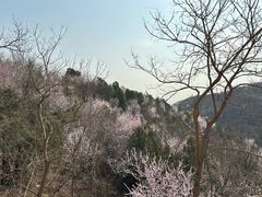 -北京西山国家森林公园