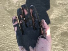 -台山黑沙湾海浴场