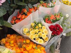 -绿叶子(春秀路店)