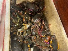 -瑞丽活螃蟹(芒市店)
