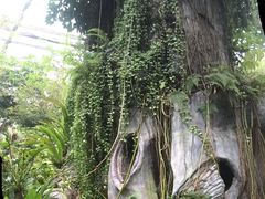 -华南国家植物园-售票处