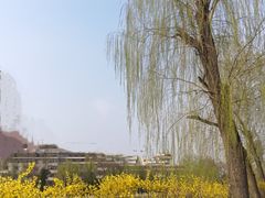 -迎泽公园