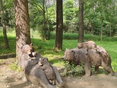 -秦皇岛野生动物园