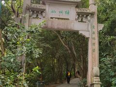 -梧桐山风景名胜区