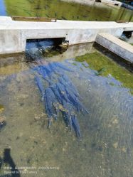-青龙渔业旅游景区