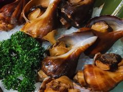 海螺刺身-金龙·打边炉(南京西路店)