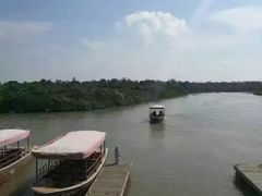 -东寨港红树林旅游区