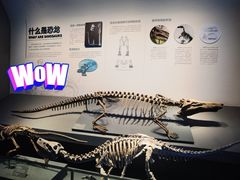 -自贡恐龙博物馆