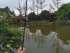 -洪湖家庭农场·团建·露营·会议