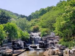 -北京西山国家森林公园